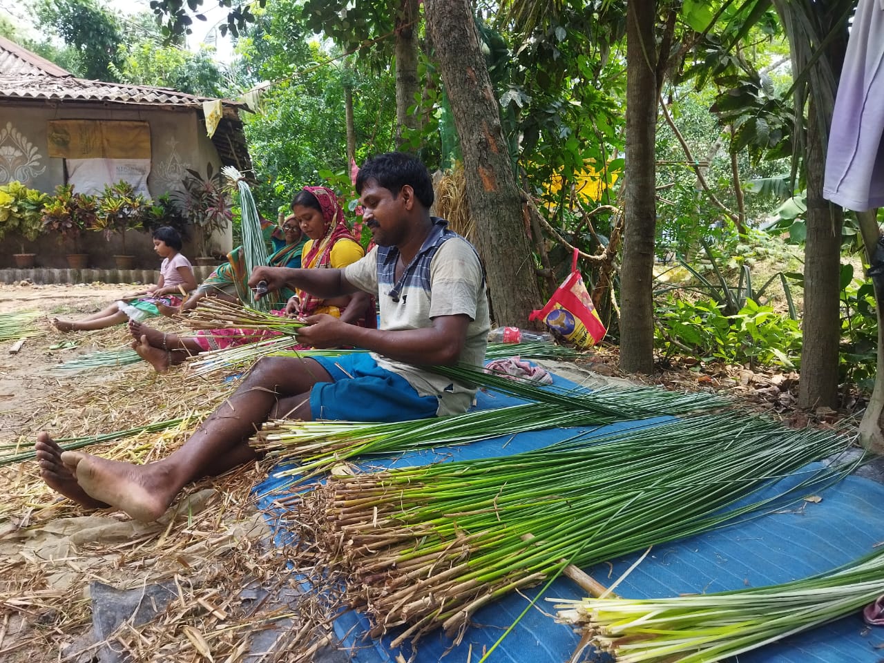 Sun-Kissed Reeds: The Traditional Art of Drying Madurkati