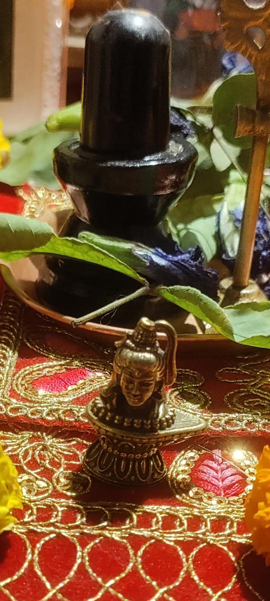 Review image by Sharmili Banerjee 